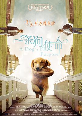 一区二区三区精品